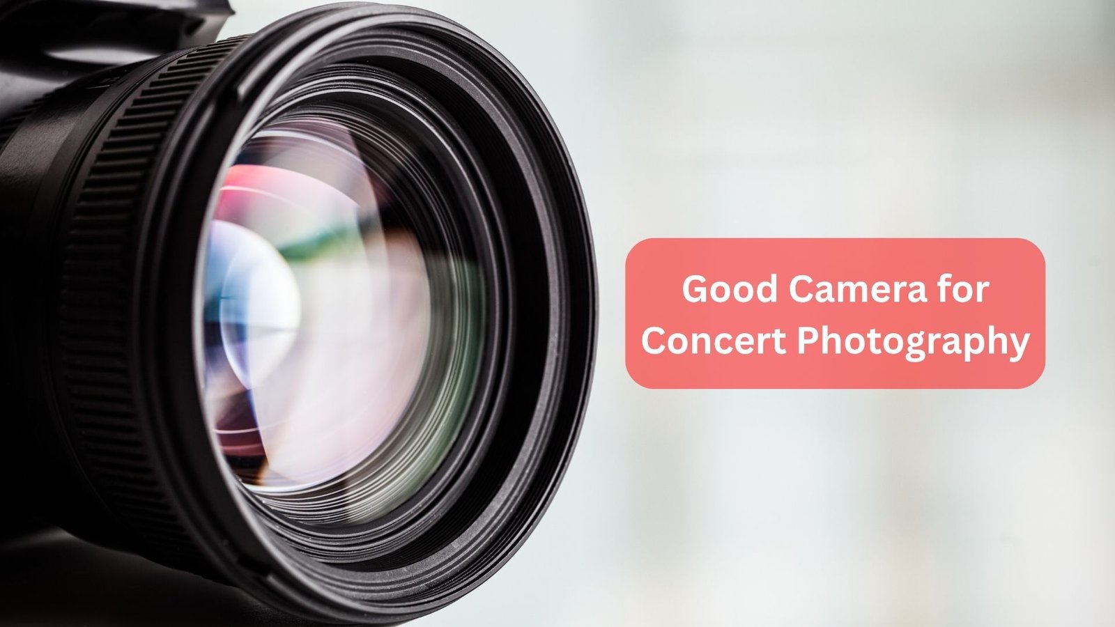 Good Camera for Concert Photography