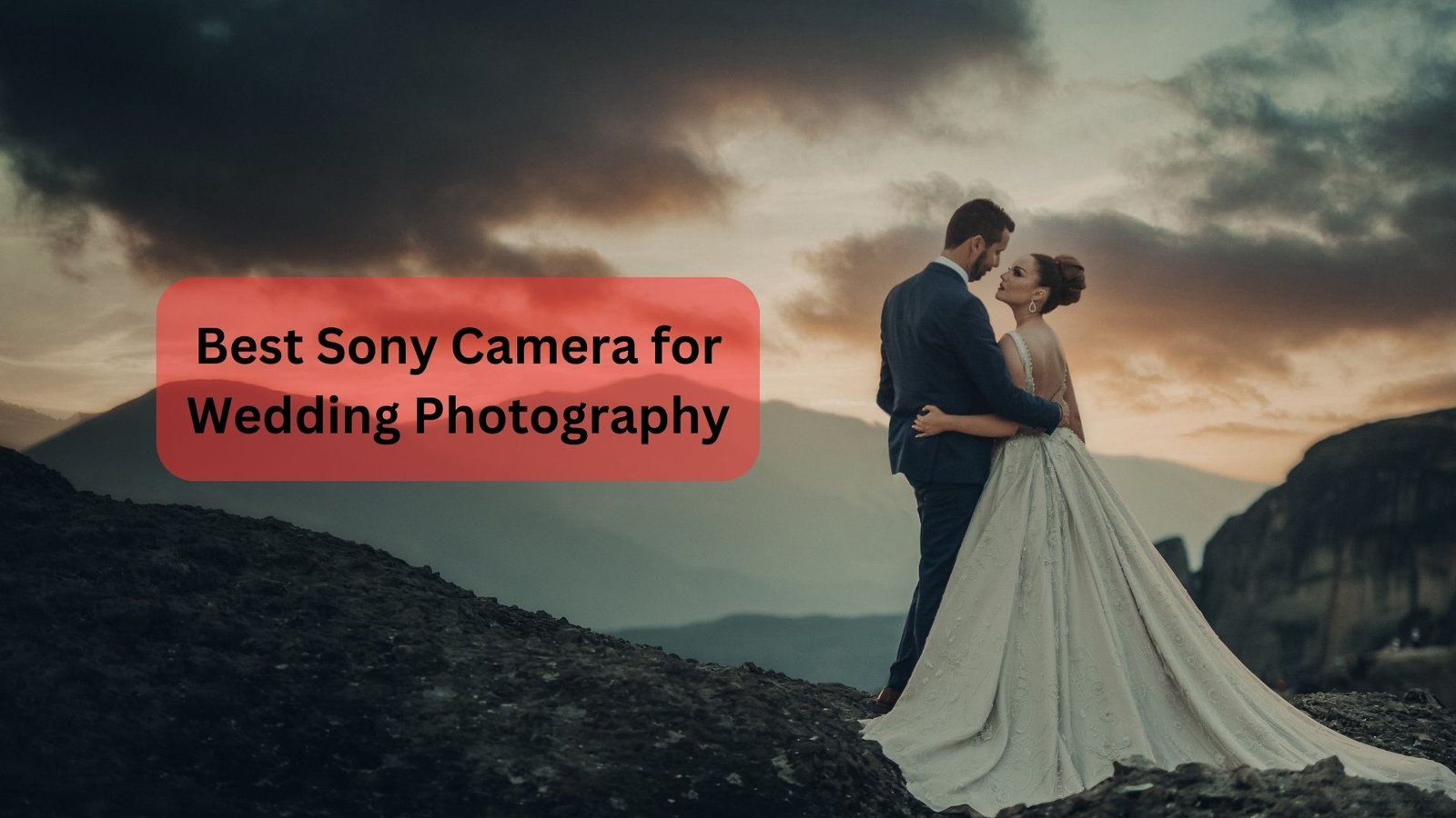 Best Sony Camera for Wedding Photography Featured Image