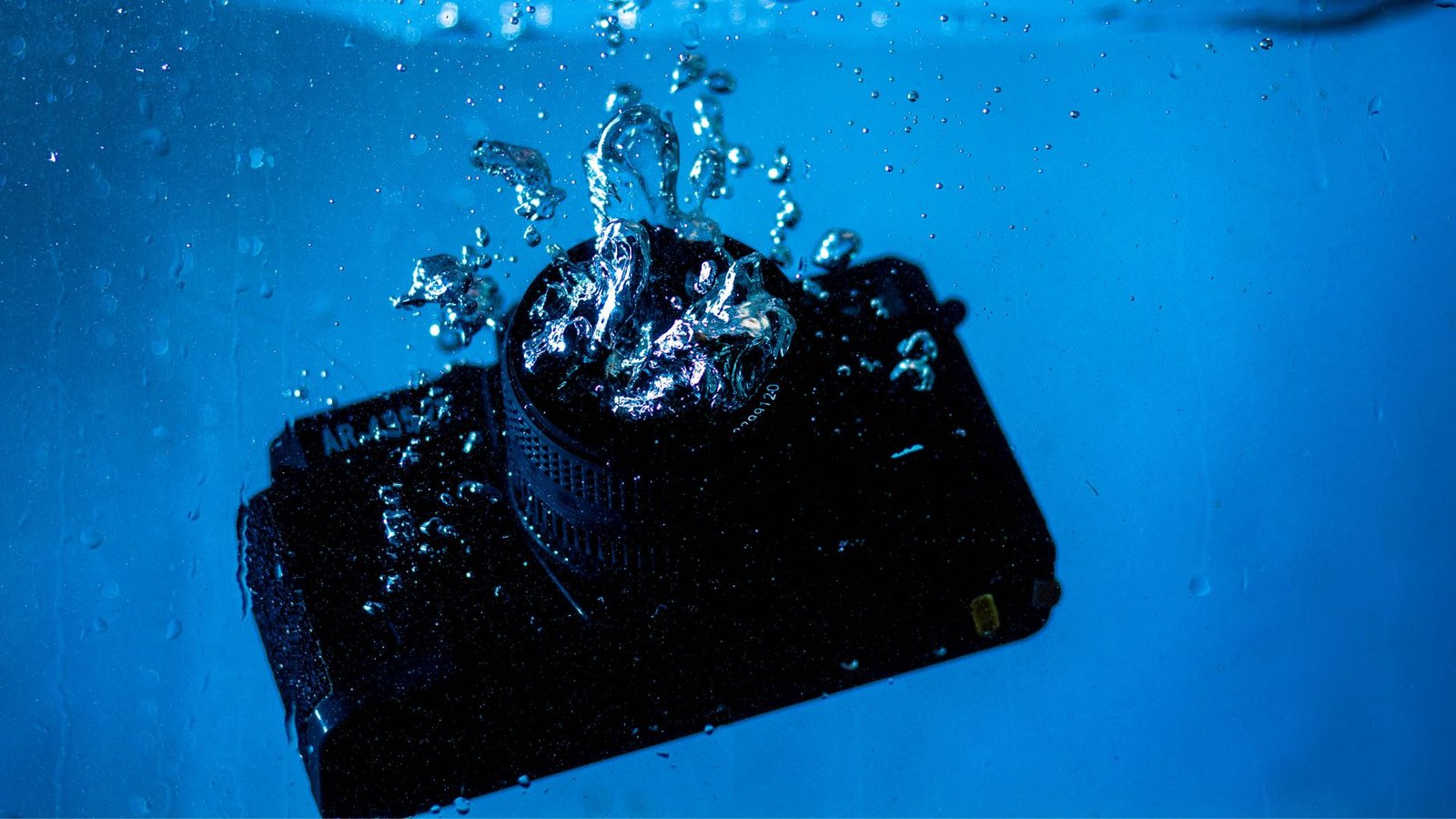Best Point and Shoot Camera for Underwater Photography