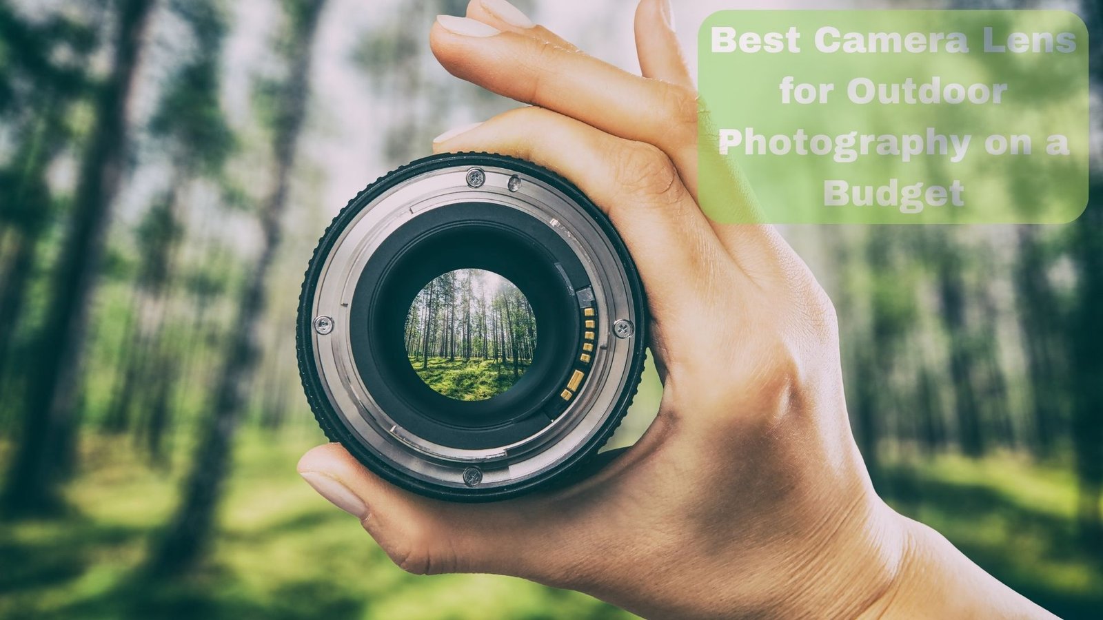 Best Camera Lens for Outdoor Photography on a Budget Affordable Picks That Deliver