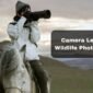 Camera Lens for Wildlife Photography 85x85