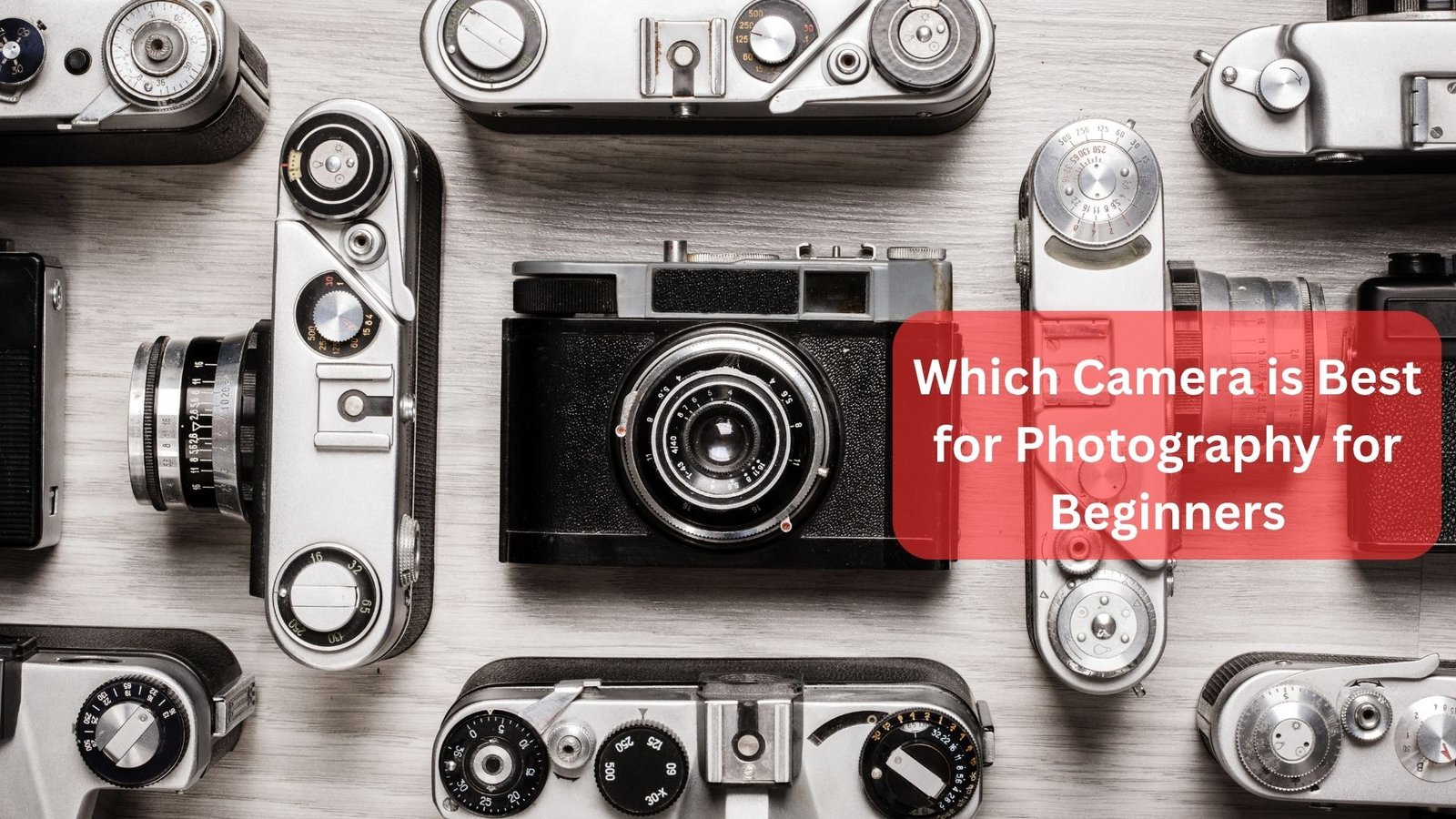 Which Camera Is Best for Photography for Beginners