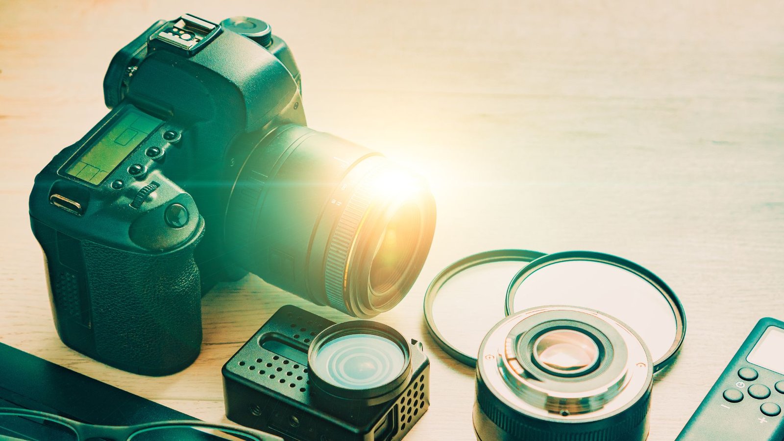 Best Mirrorless Camera for Bird Photography
