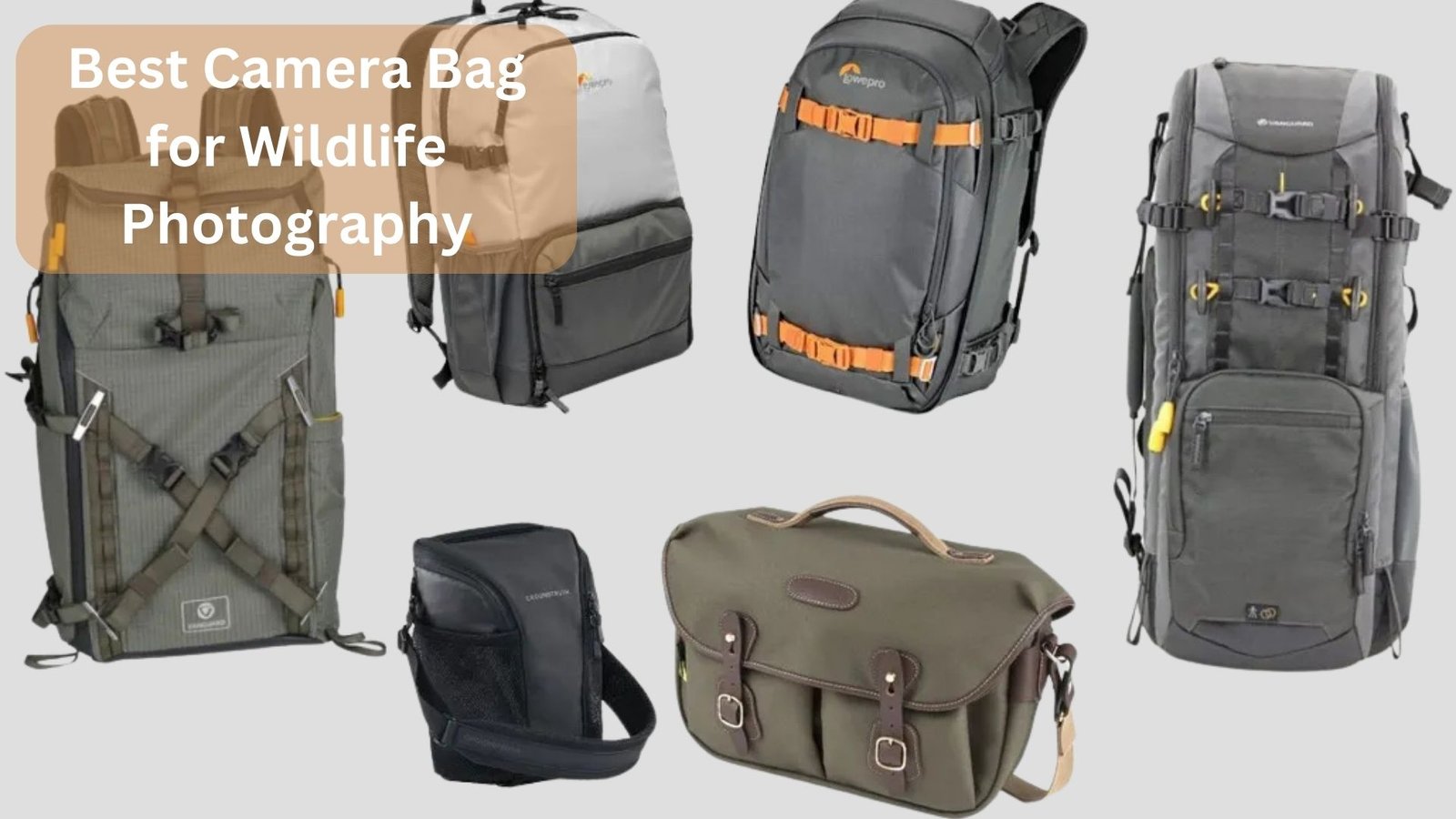 Best Camera Bag for Wildlife Photography_ Affordable & Durable