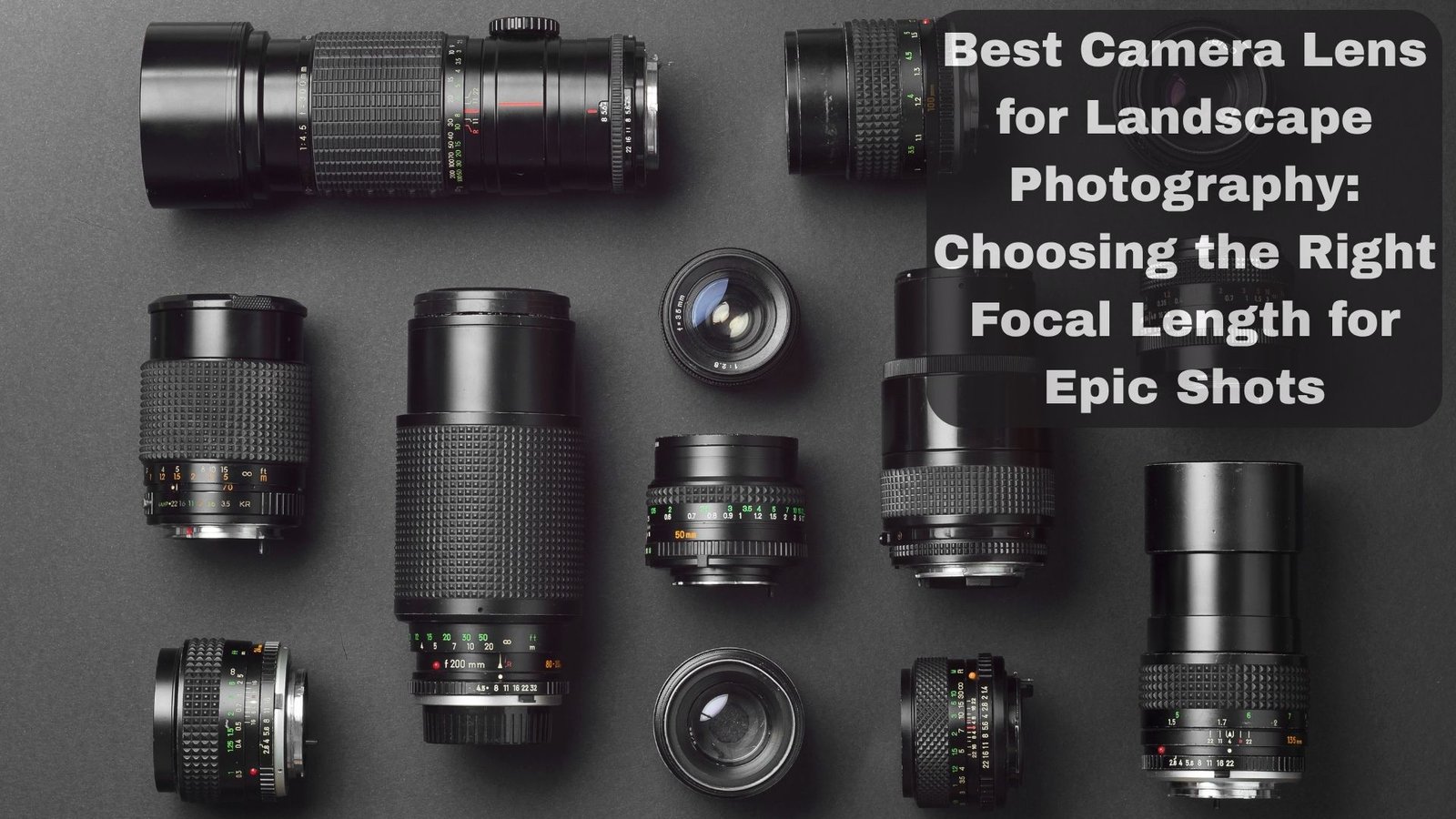 Best Camera Lens for Landscape Photography
