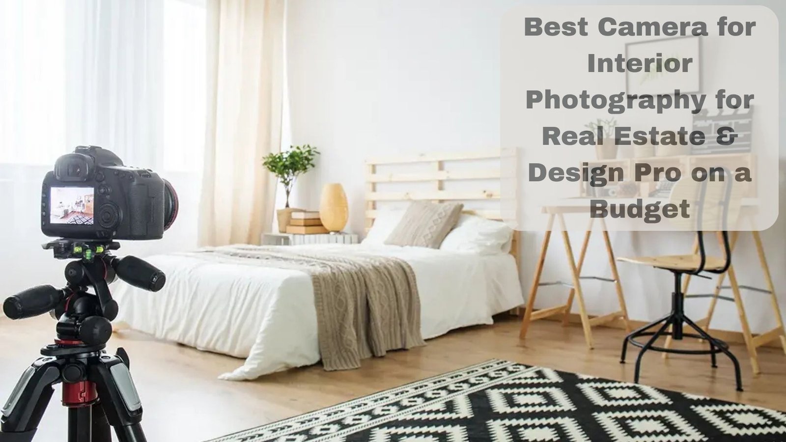 Best Camera for Interior Photography for Real Estate & Design Pro on a Budget