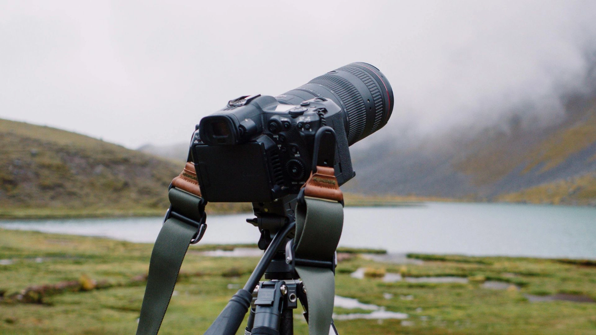 Bird Photography Cameras