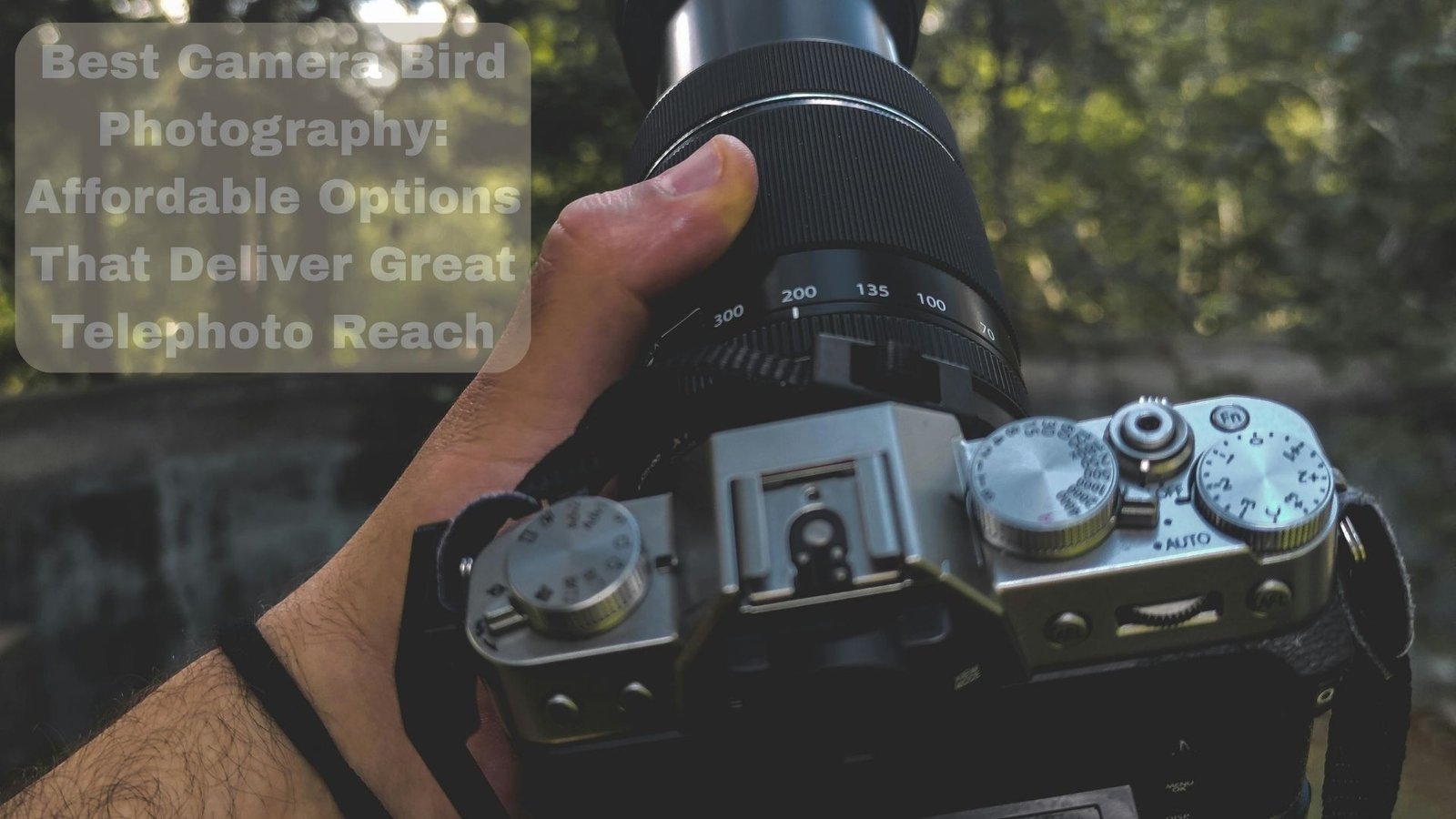 best camera bird photography