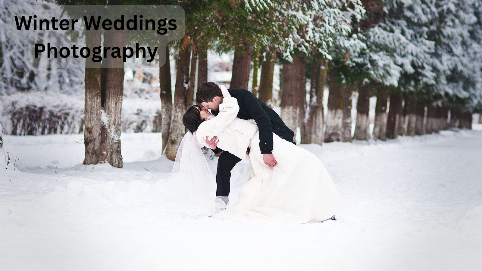 Winter Weddings Photography