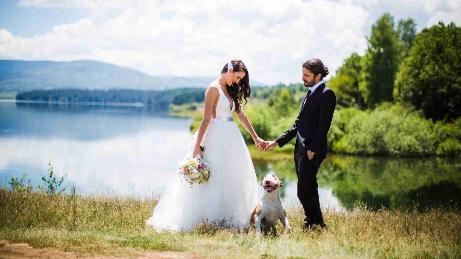 Wedding Photography with Dogs Featured Image