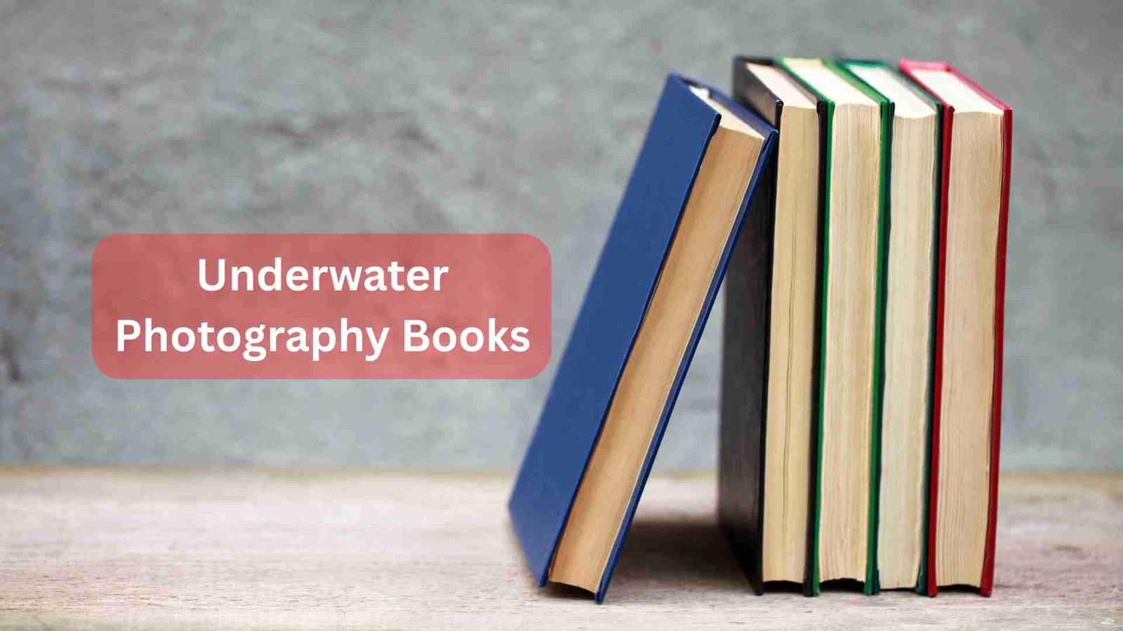 Best Underwater Photography Books Featured image