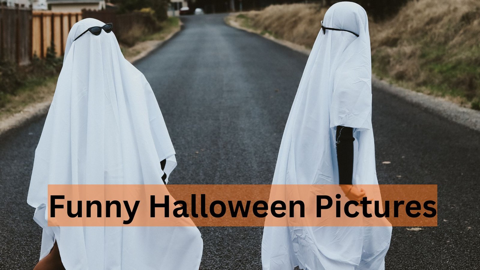 Funny Halloween Pictures