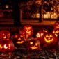 Pumpkin Photoshoot Featured Image 85x85