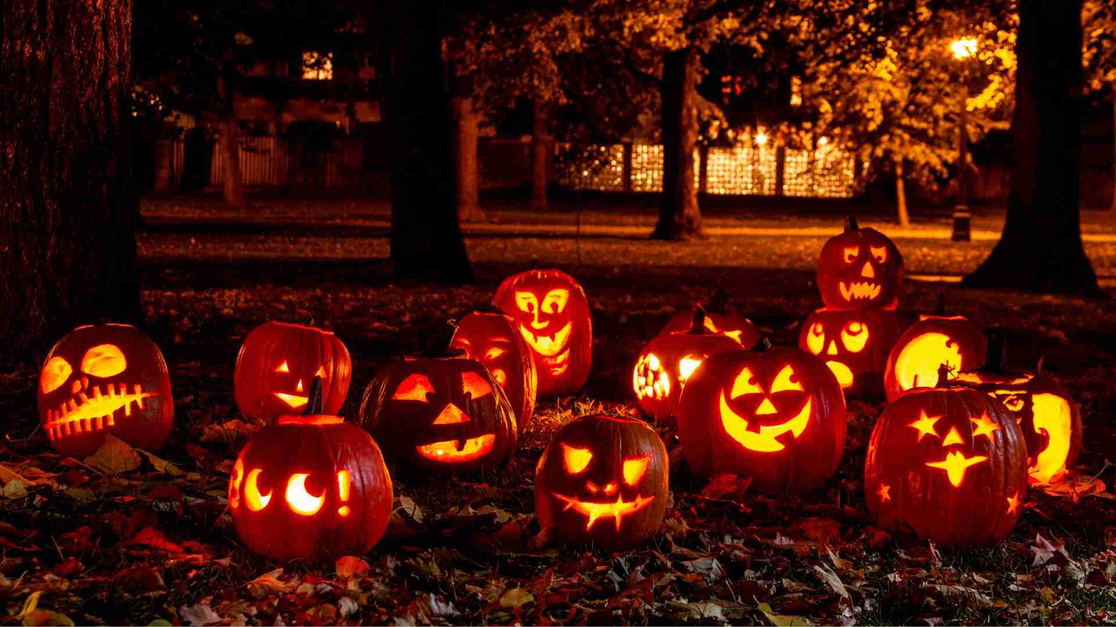Pumpkin Photoshoot Featured Image
