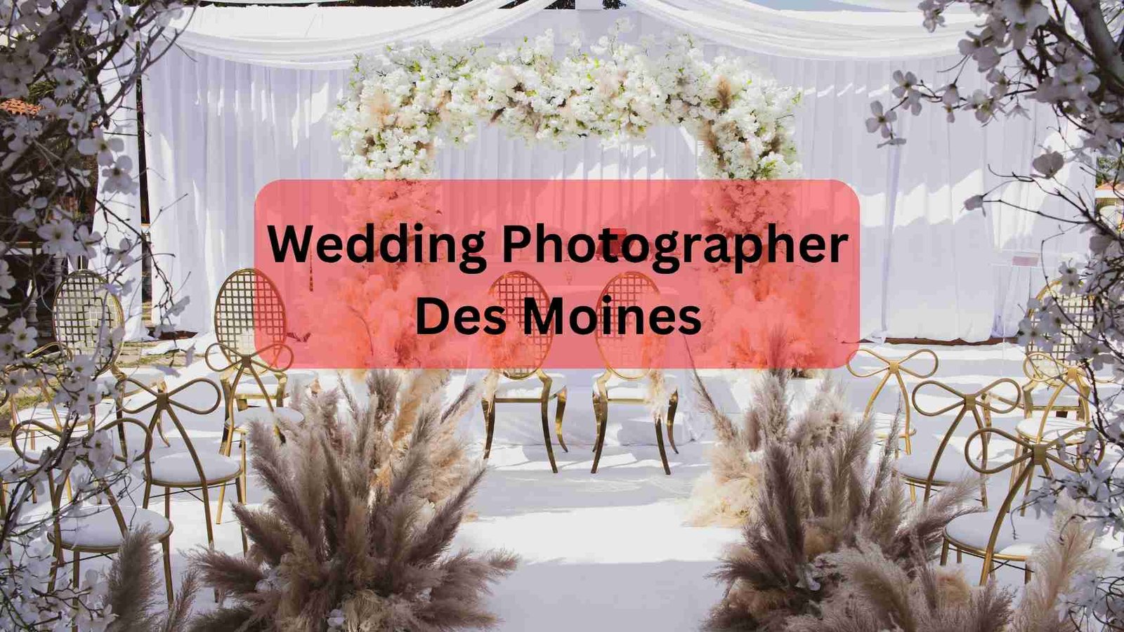 Wedding Photographer Des Moines Featured Image