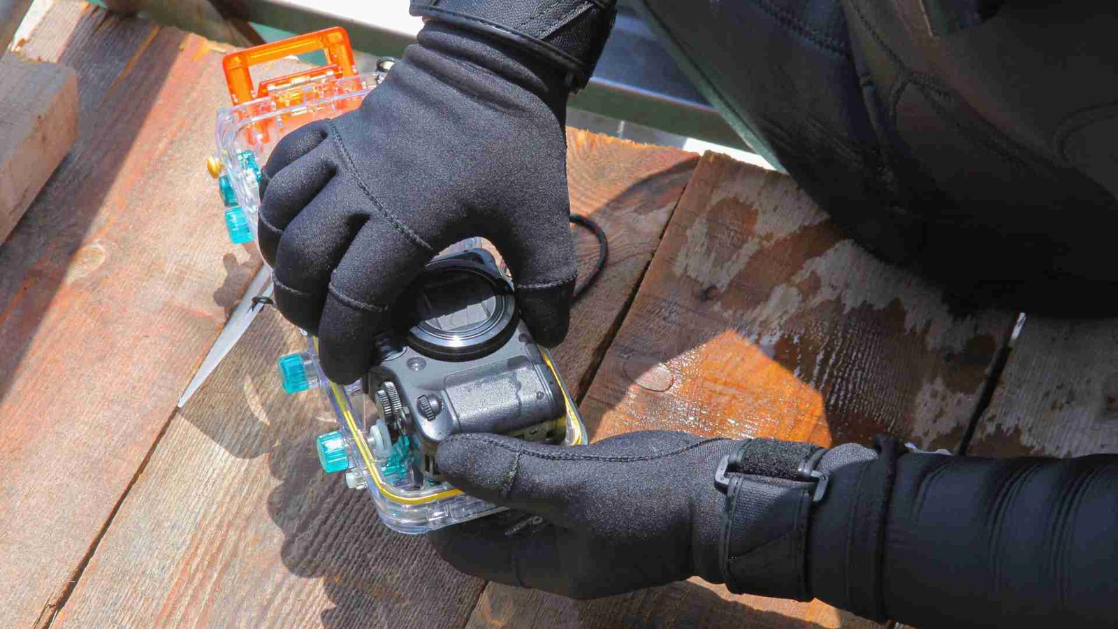 Best Camera for Underwater Macro Photography Featured Image