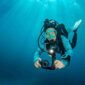 Best Camera for Underwater Photography Featured image 85x85