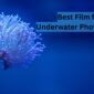 Best Film for Underwater Photography 85x85