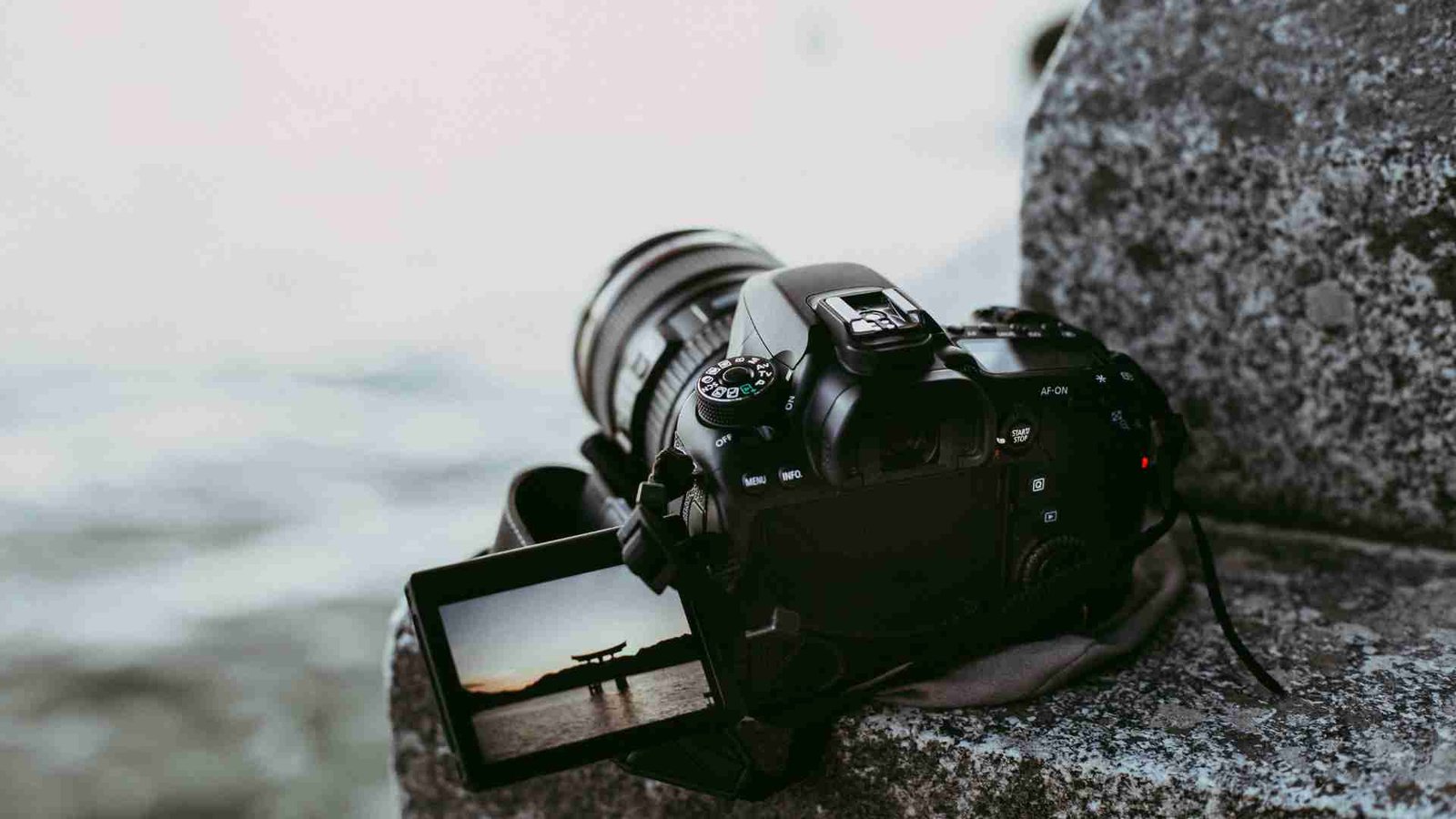 Best Sony Lens for Underwater Photography Featured Image