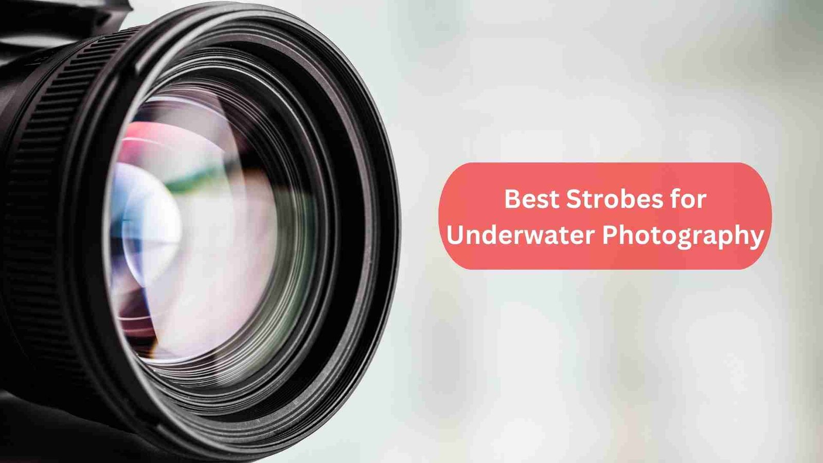 Best Strobes for Underwater Photography Featured Image