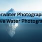 Underwater Photography Vs Above Water Photography 85x85