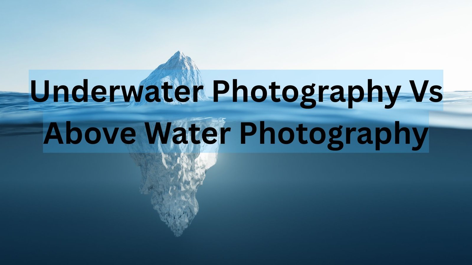 Underwater Photography Vs Above Water Photography