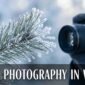 Macro Photography in Winter 85x85